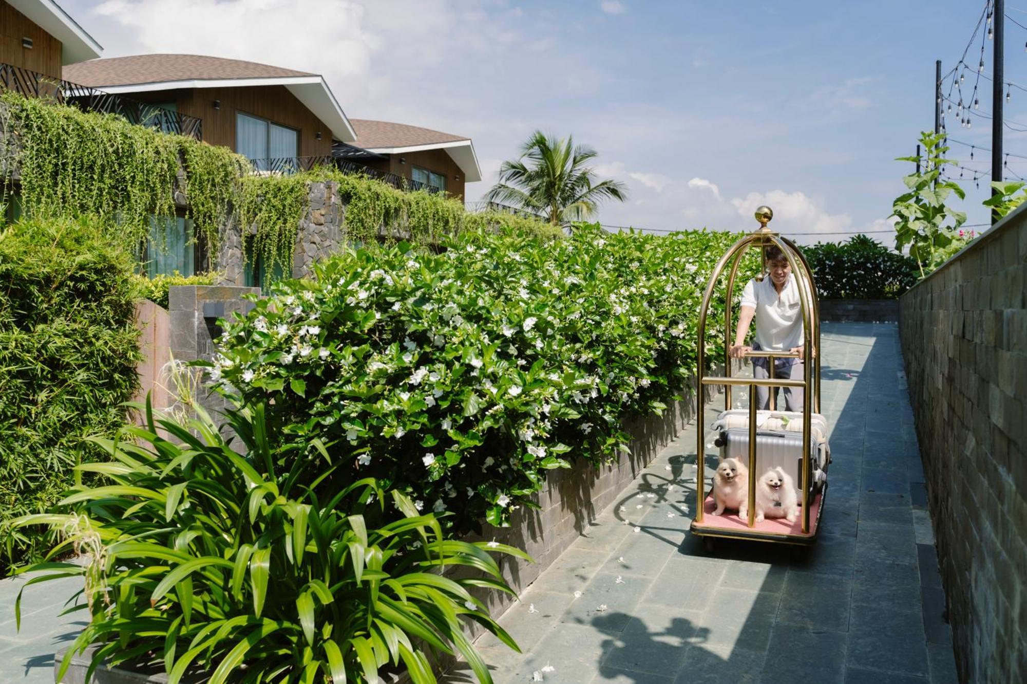 Bellerive Hoi An Resort And Spa Exteriör bild